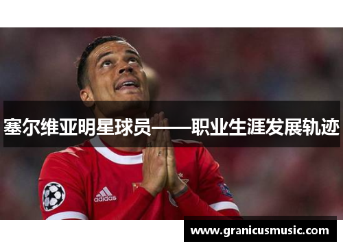 塞尔维亚明星球员——职业生涯发展轨迹